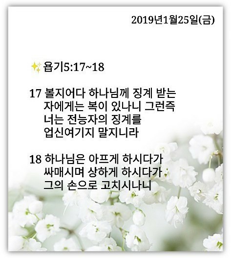 샬롬 이미지