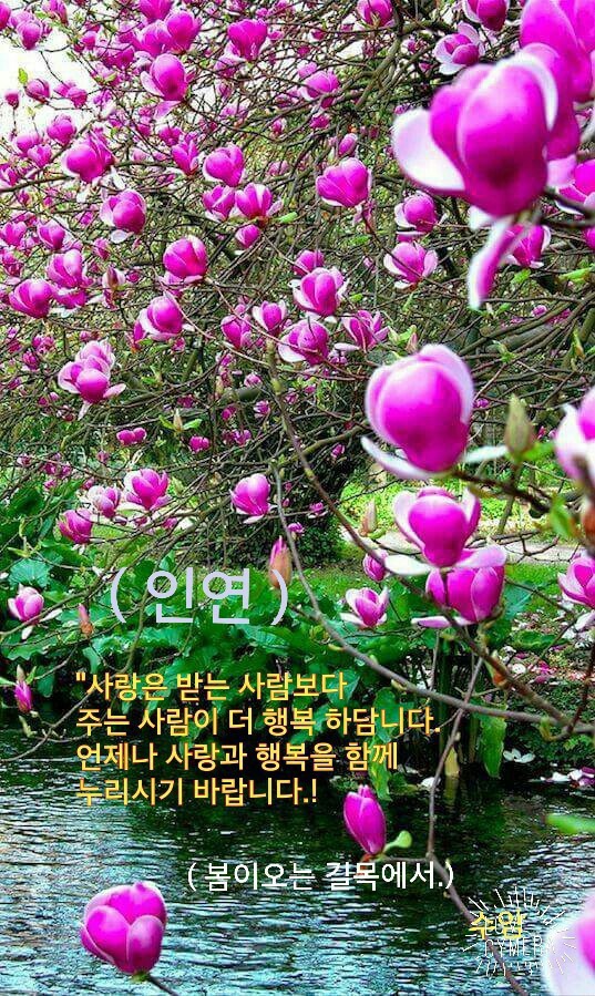 꽃다운 이미지