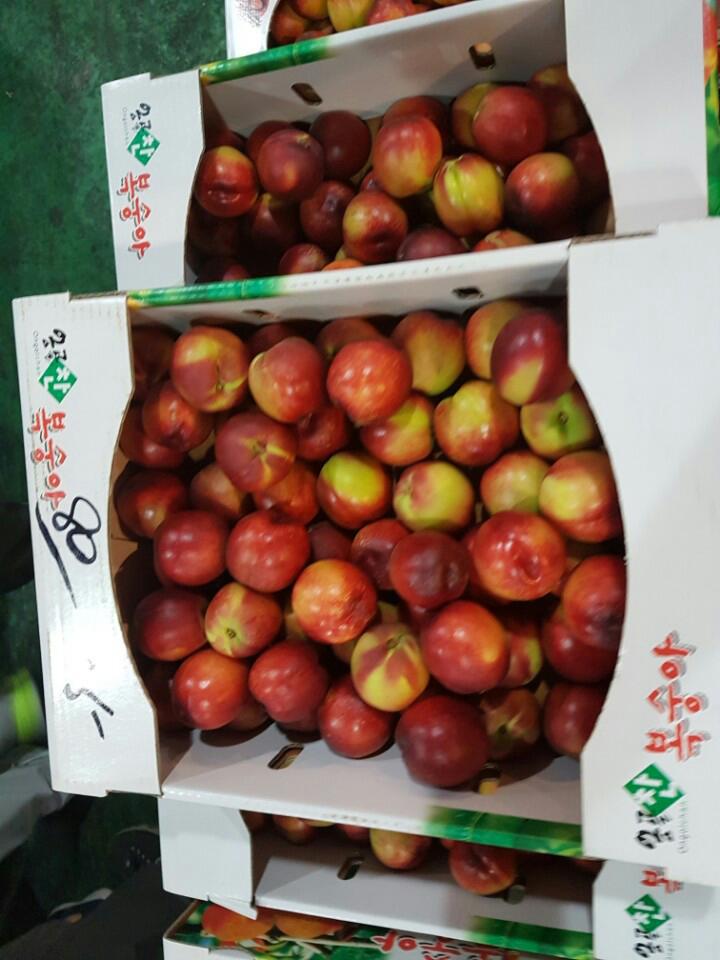 천도 이미지