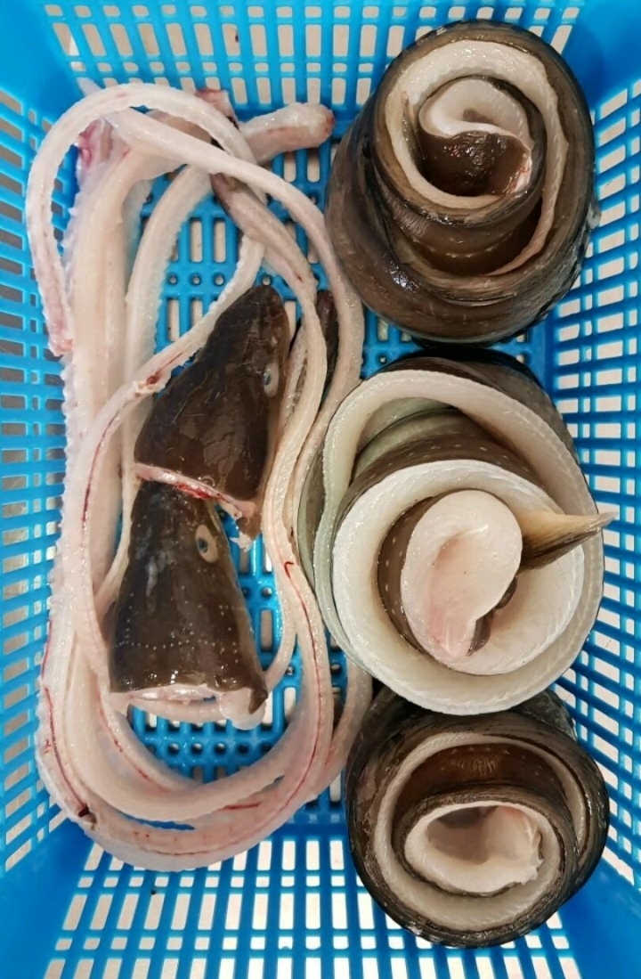 싱싱바다장어 이미지