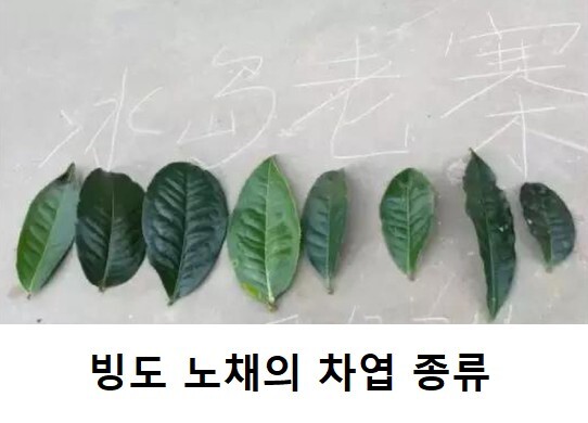 백차 이미지