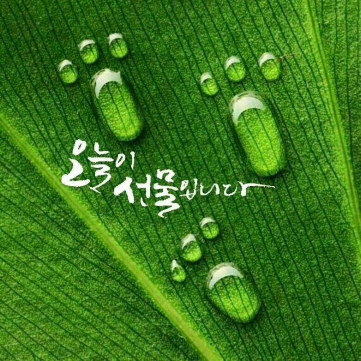 심원 이미지