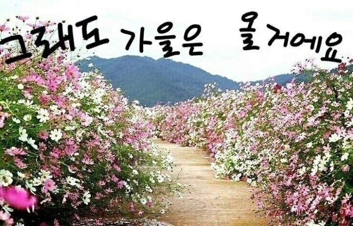 심원 이미지
