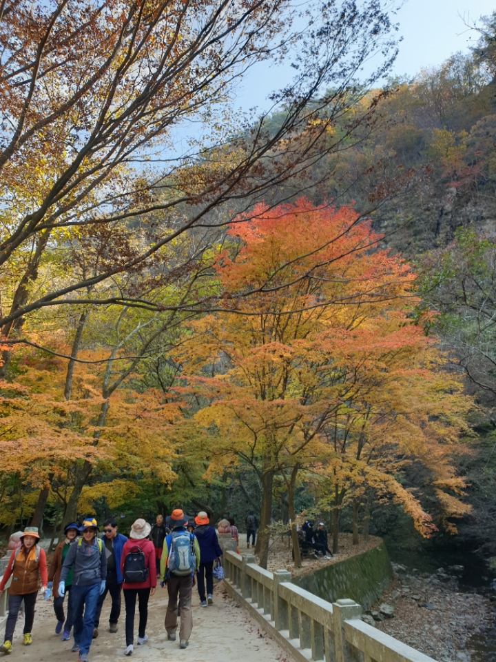 보람찬 이미지