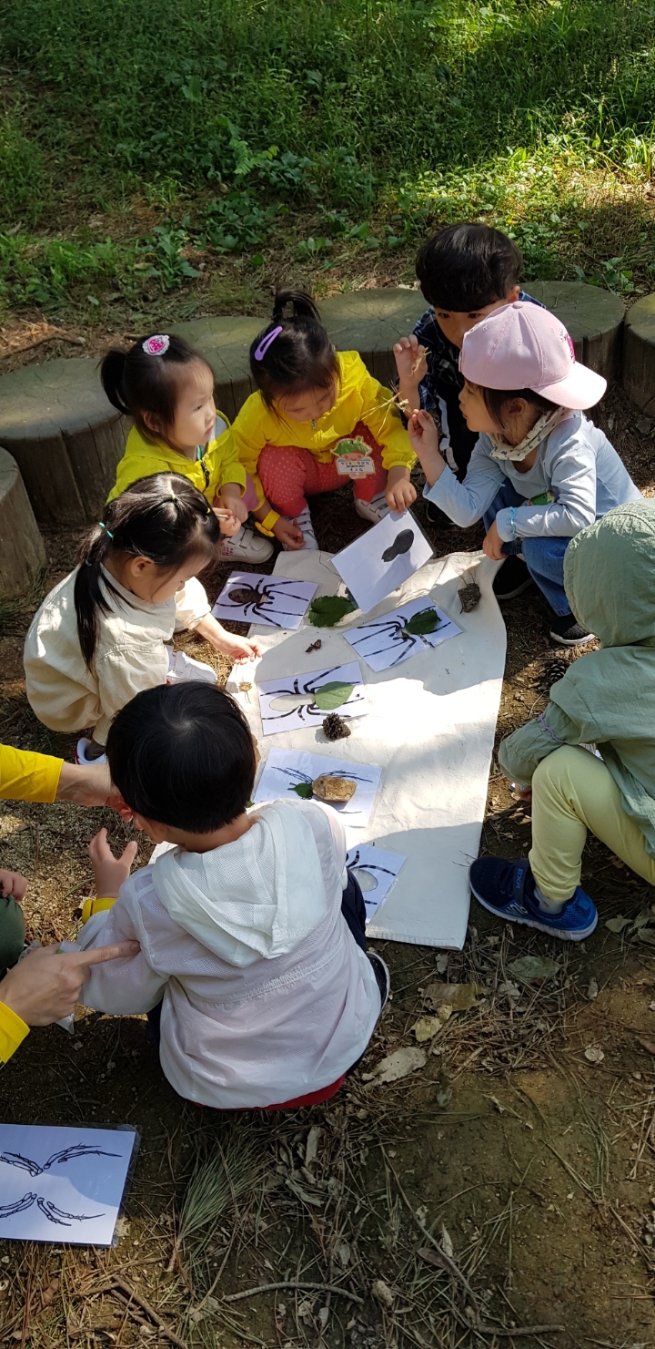 고인돌 유아숲체험원 이미지