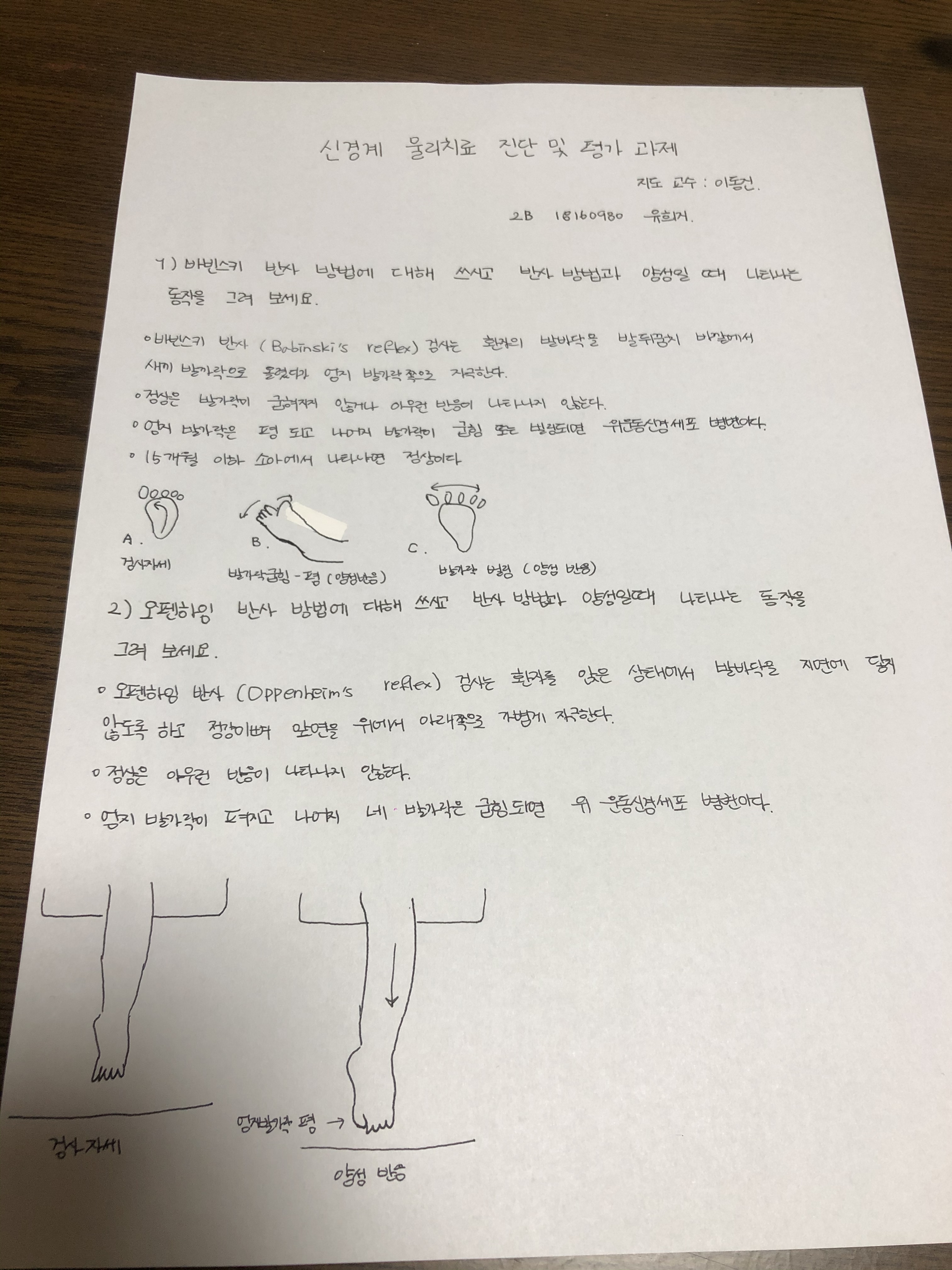 유희지 이미지