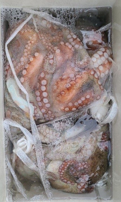 군산대박 이미지