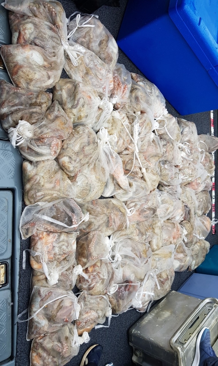 군산대박 이미지