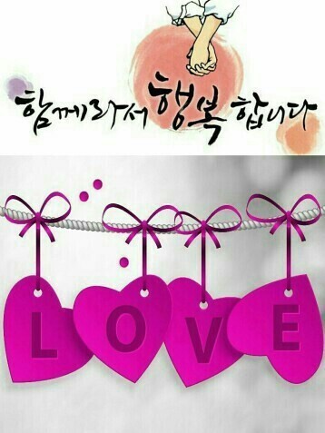 밥꽃 이미지