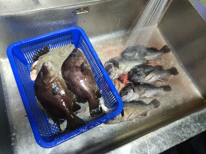 오늘은바다 이미지