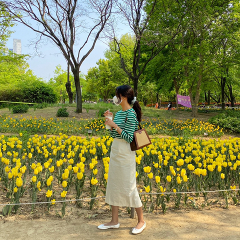 비조 이미지