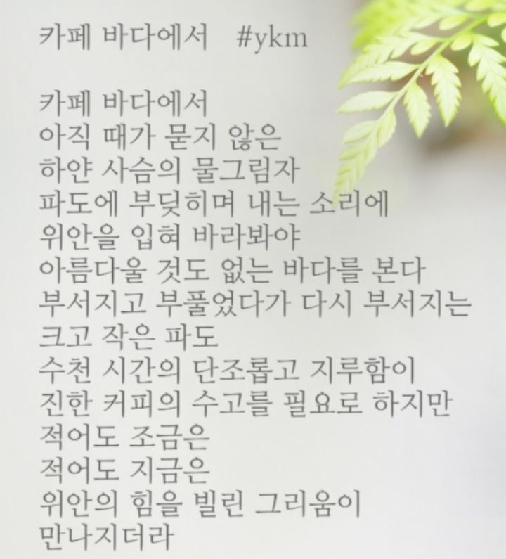 카페바다 이미지