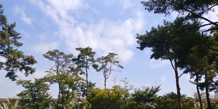 힐링발혈마사지 이미지