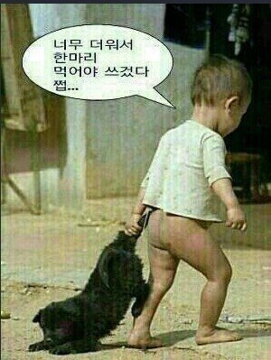 복 이미지