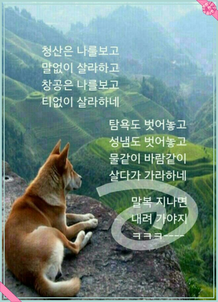 복 이미지