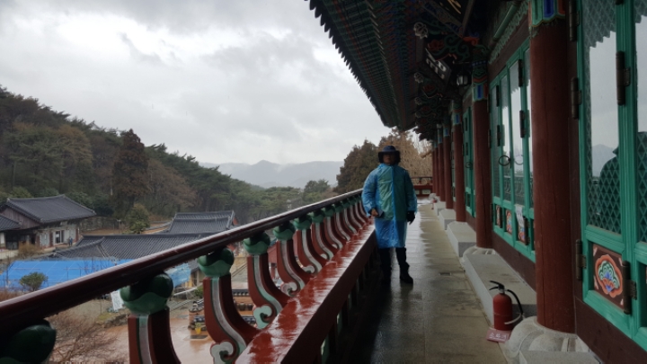 넝쿨카페 이미지