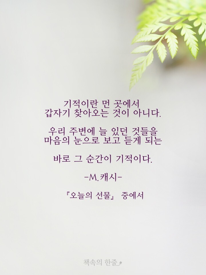 오늘의선물 이미지