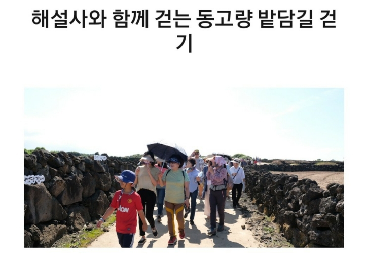 밭담 이미지