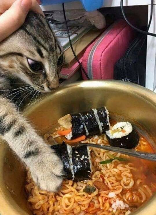 한입만 이미지