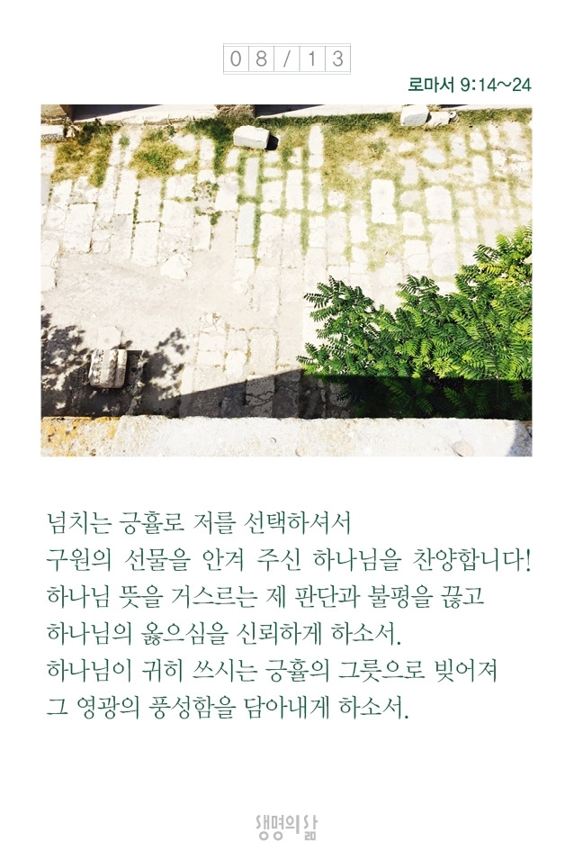 하리요8 이미지