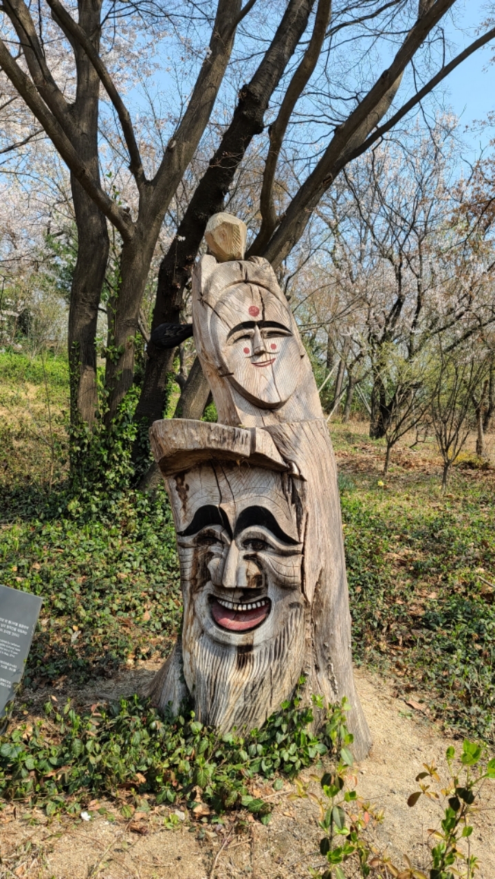 도라지와하수오를사랑하는사람들 이미지