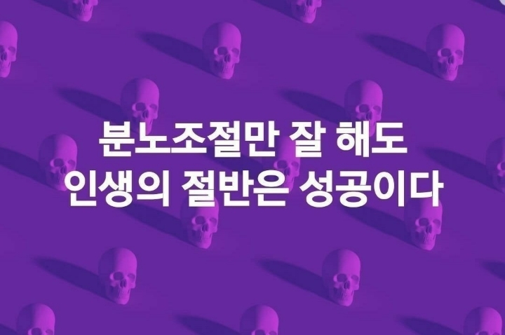 자일 이미지