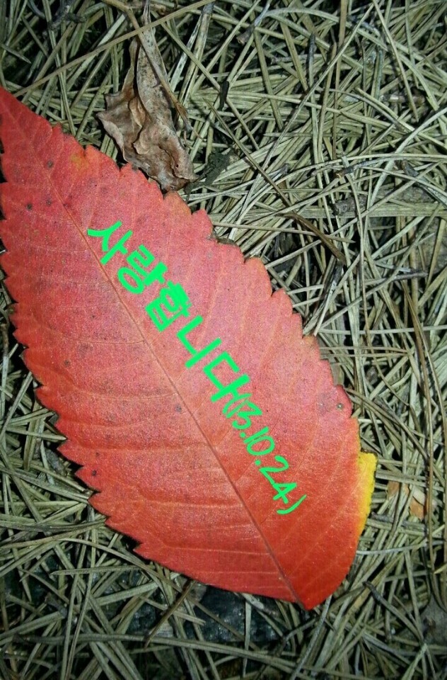 투구봉가든 이미지