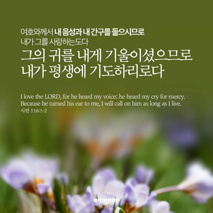양가네 이미지