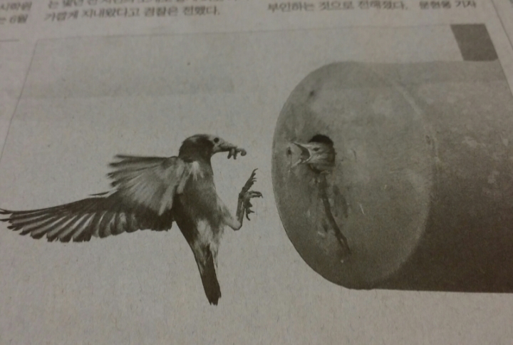 장사그만 이미지