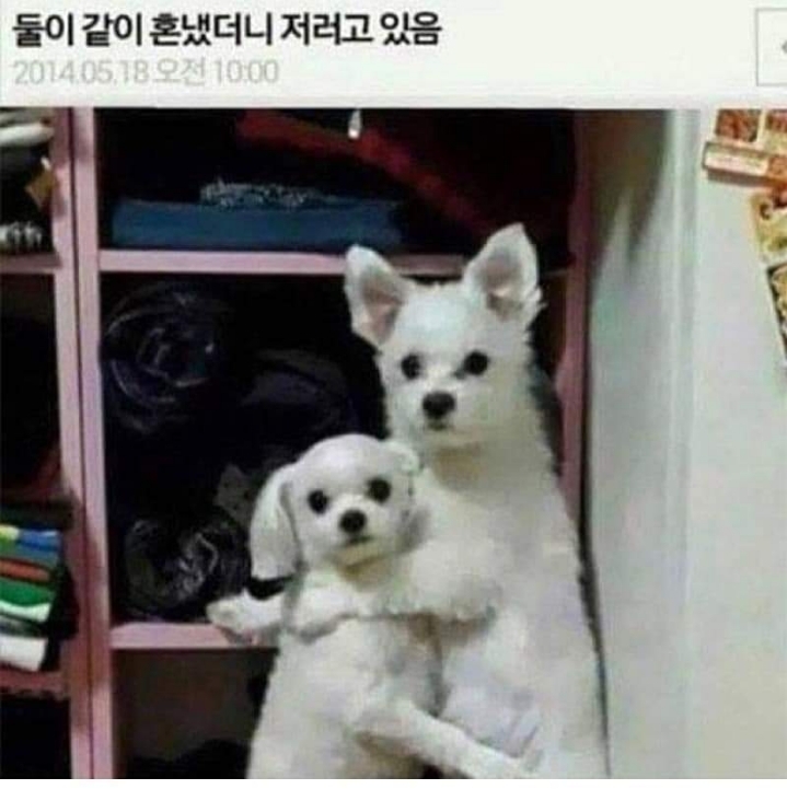 피식 이미지