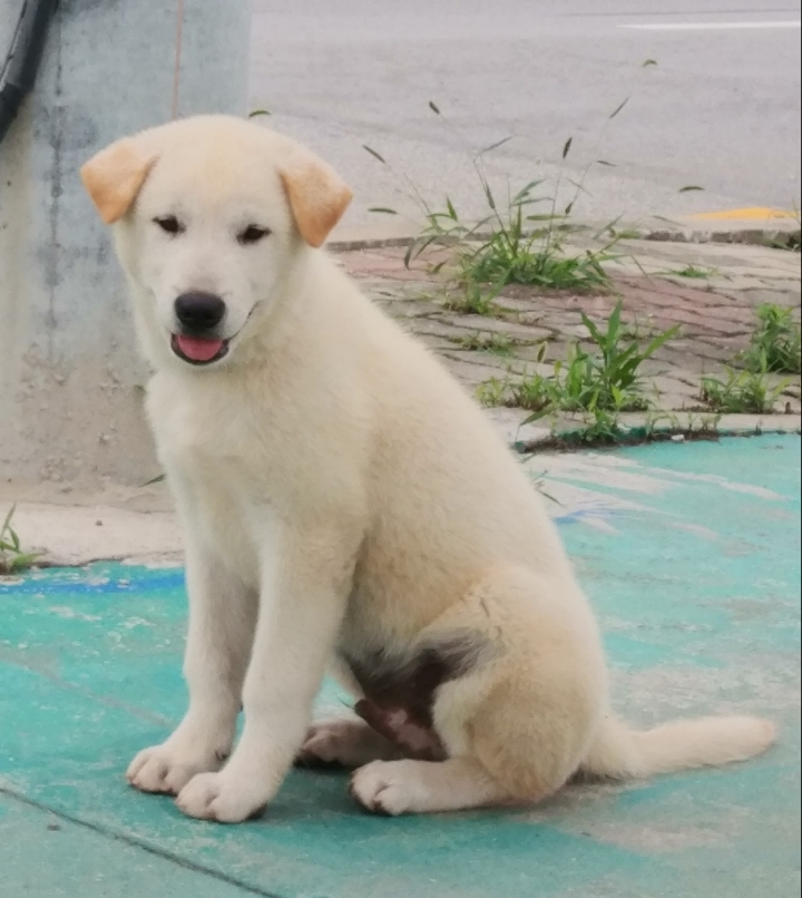 한비 이미지