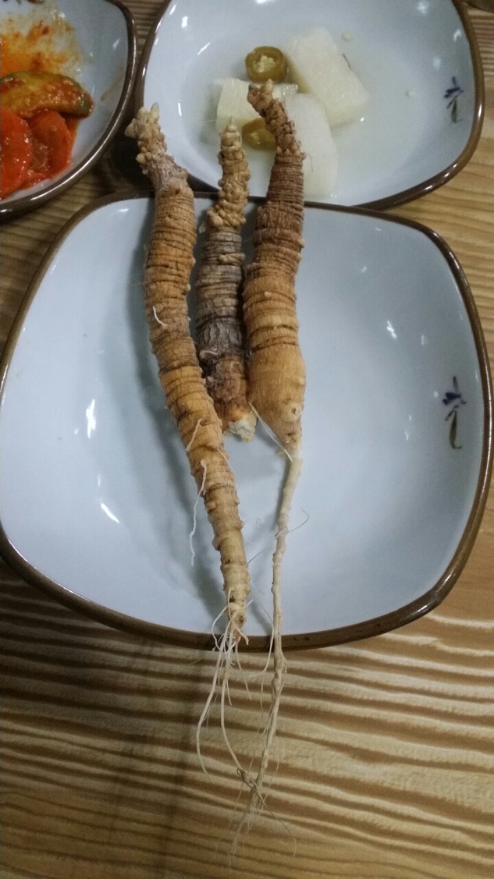 숲속의궁전 이미지