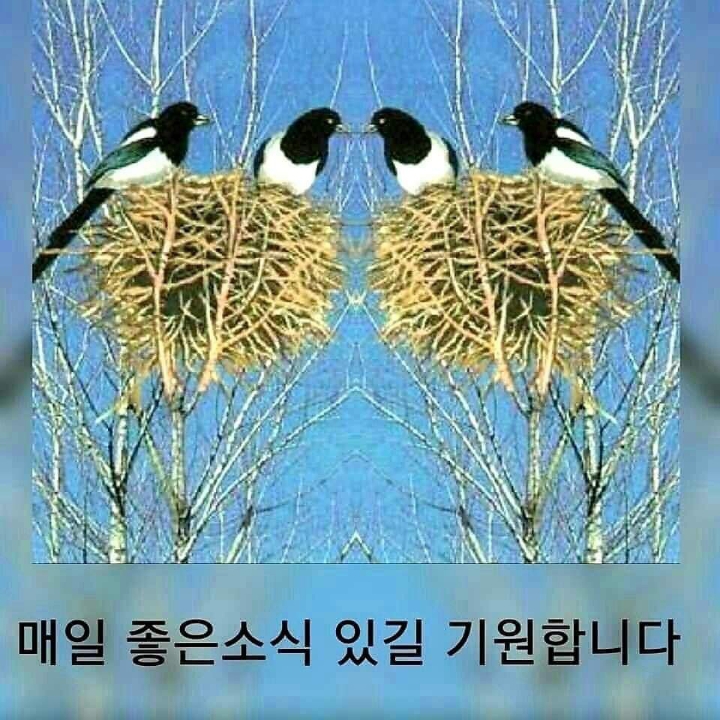 정보 이미지