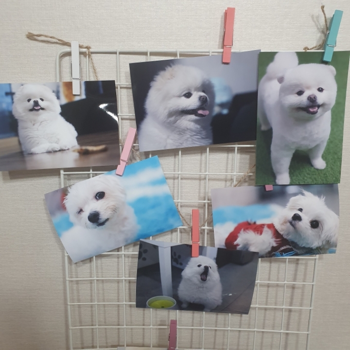 오드리안 이미지