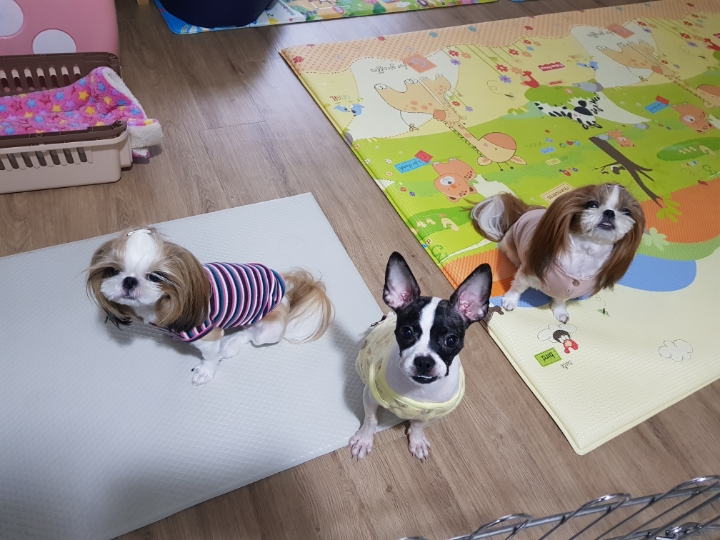 행복배웅 이미지