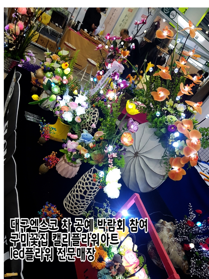엑스코플라워 이미지