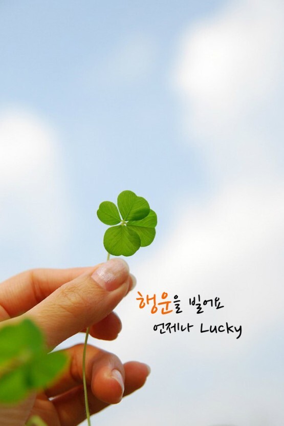 청주볼링장 이미지