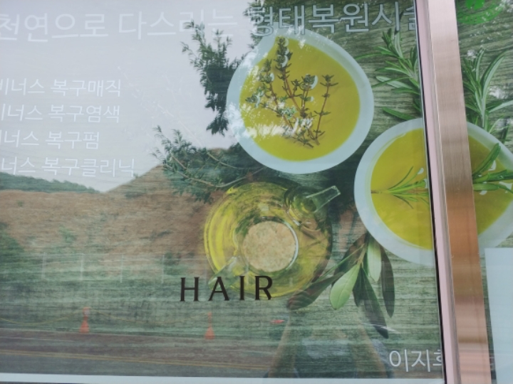 월드헤어 이미지