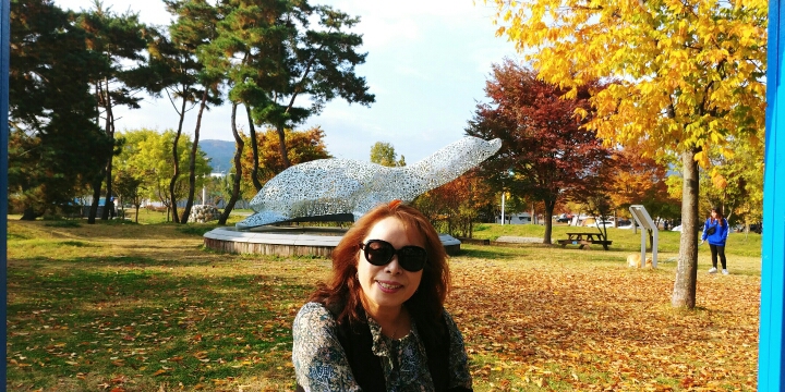 청춘투어 이미지