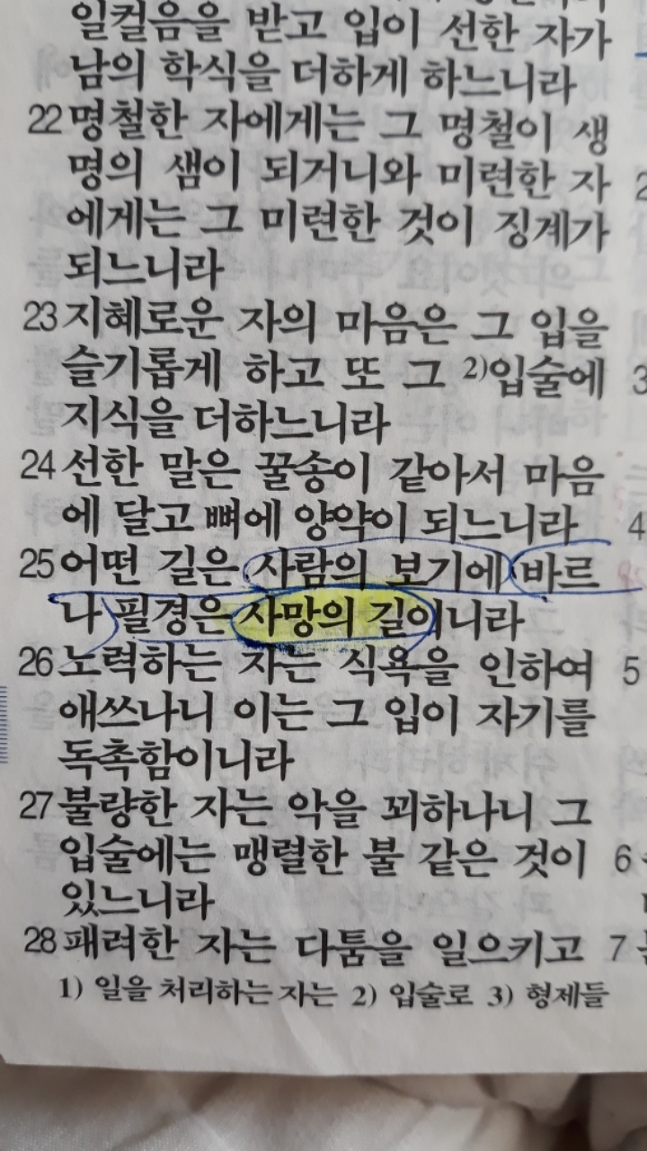 바르나현 이미지