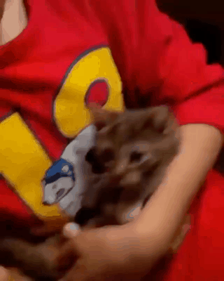 의외로 외국인들에게 엄청 잘 먹히는 한식 메뉴.jpg | 인스티즈