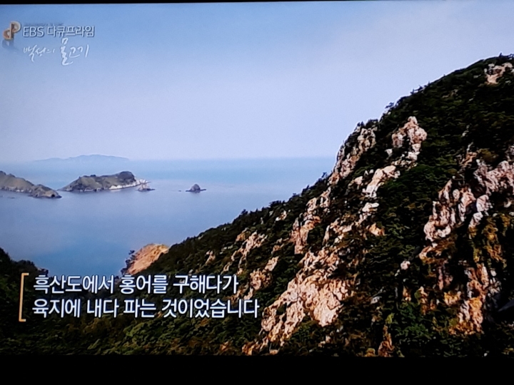홍어이야기 이미지