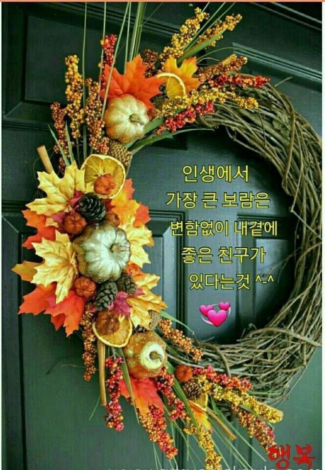 바로잡어 이미지