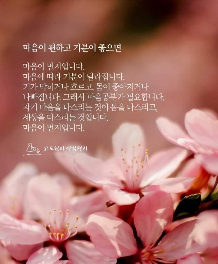거안 이미지