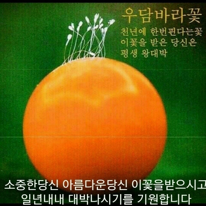 월요일아침 이미지