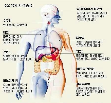 월요일아침 이미지