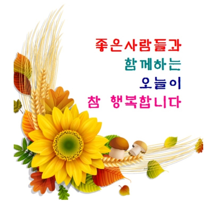 만만디 이미지