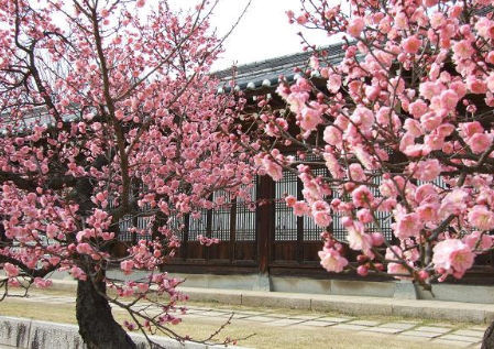오시네 이미지