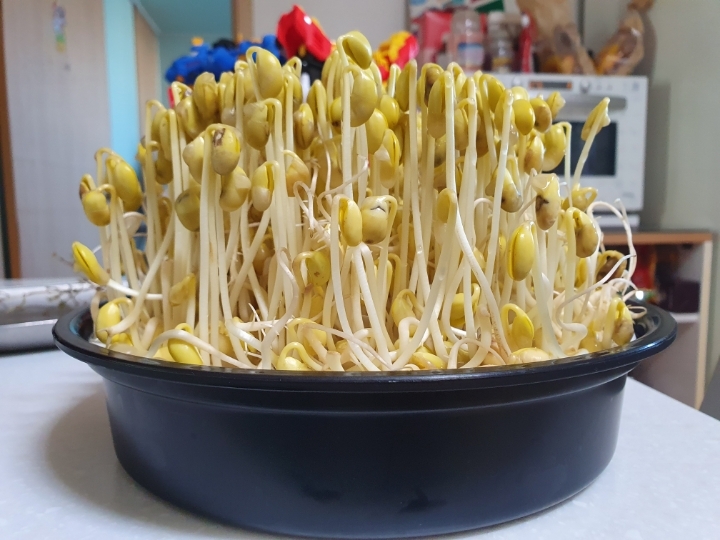 이솔푸드 이미지