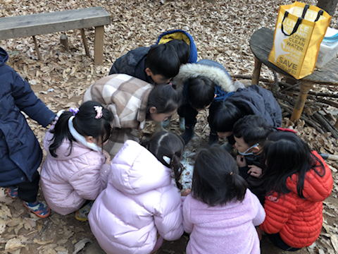 (주) 플레이가든 이미지
